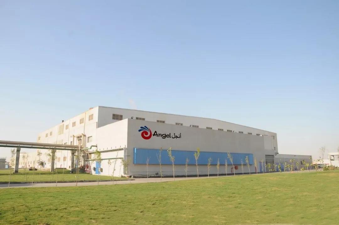 2.jpg 世界杯投注